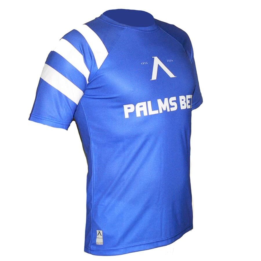 Мъжка тениска ПФК ЛЕВСКИ СОФИЯ