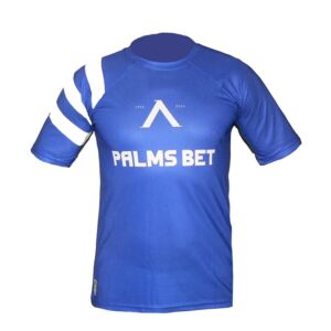 Мъжка тениска ПФК ЛЕВСКИ СОФИЯ