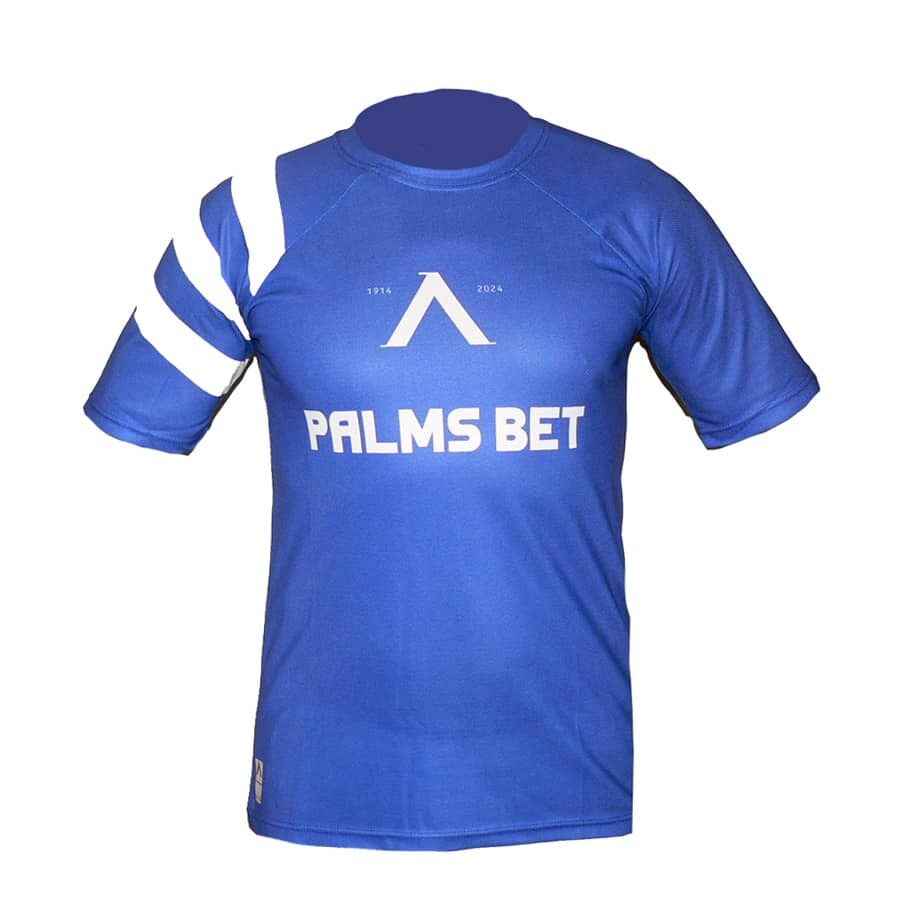 Мъжка тениска ПФК ЛЕВСКИ СОФИЯ - Image 2